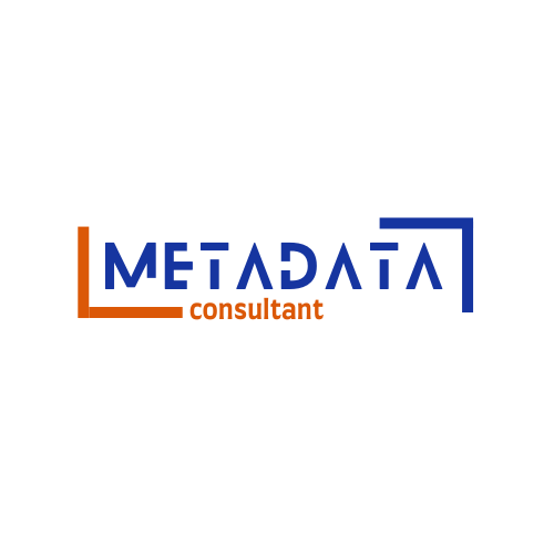 Meta Data Consultant